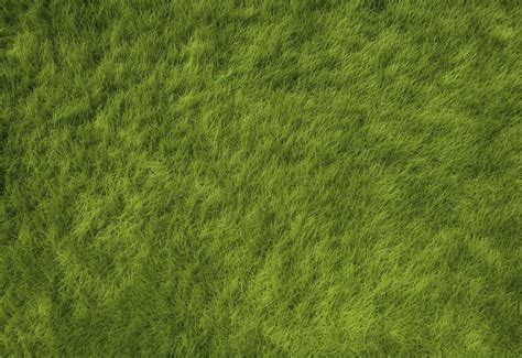 Lush Green Grass Texture Background Premium Ai Generated Image