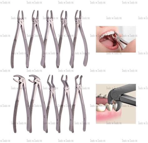 10 Piece Extracting Forceps Set Dental Instruments Tooth - Etsy ...