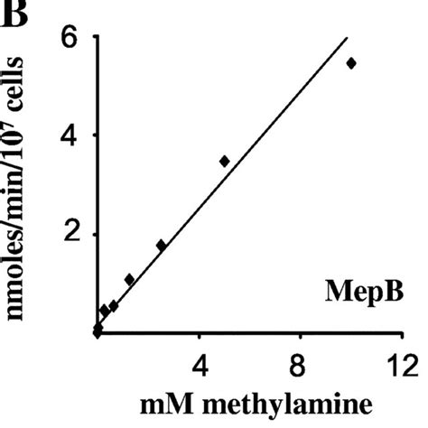 The Mep Proteins Of F Fujikuroi Mediate 14 C Methylamine Uptake