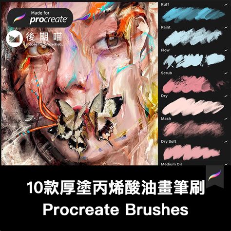 Procreate筆刷 10支藝術家厚塗油畫丙烯酸畫筆 Ipad大師級畫板 蝦皮購物