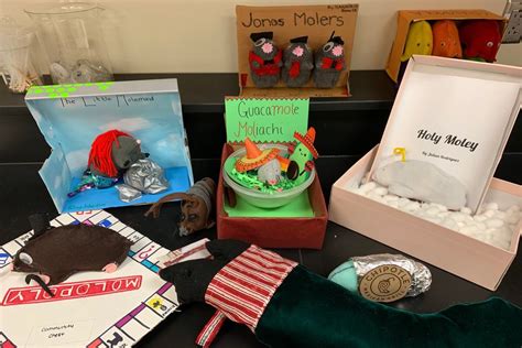 Mole Day Projects Stuffed Moles