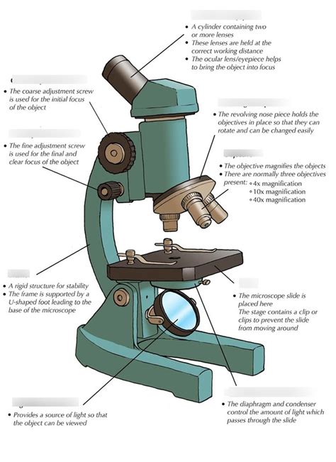 Lab Exam Diagram Quizlet