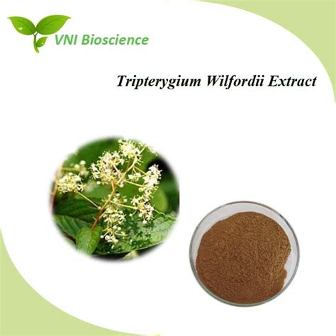 Kosher Halal Certified Natural Tripterygium Wilfordii Extract