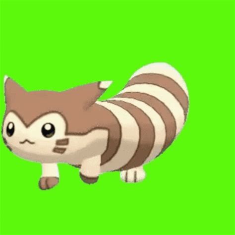 Furret Walk GIF - Furret Walk Pokemon - Discover & Share GIFs