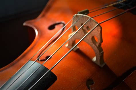 Violonchelo Instrumentos De Cuerda Foto Gratis En Pixabay Pixabay