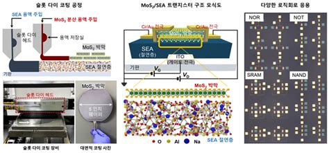 대면적 고성능 2차원 반도체 전자소자 개발고집적 한계 실리콘 반도체 대안 전자신문