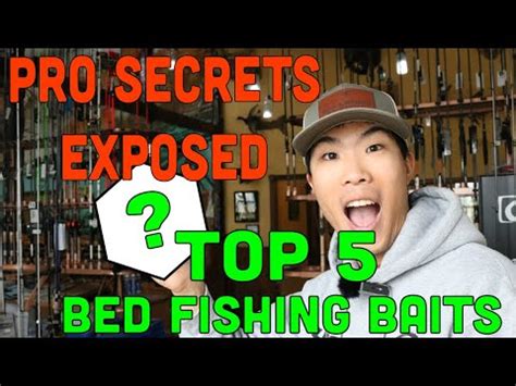 The Only Bed Fishing Baits You Need To Catch Spawning Bass Youtube