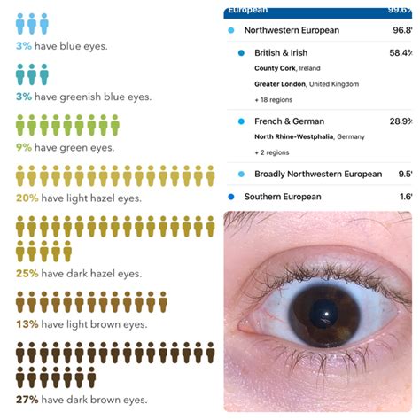 Spot On Eye Color Prediction Including My Eye With The Light Brown