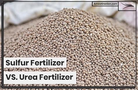 Sulfur Fertilizer