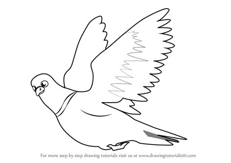 How to Draw Pigeon in Flight (Birds for Kids) Step by Step ...