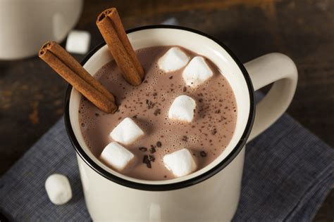 Cinnamon Hot Chocolate Stevia Recipes