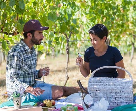 Quinta De Santiago Picnic In The Vineyards Portugal By Wine Wine