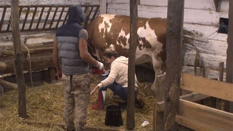 Galerija Farmeri Uzrujani Cure Bi Mogle Malo Vi E Raditi Str