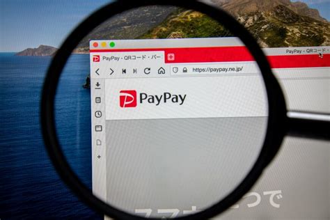 Paypayカードは何歳から申し込める？申し込み条件やpaypayカードがおすすめの理由を解説 Limo くらしとお金の経済メディア