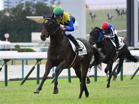 【京都6r新馬戦結果】リスグラシューの半弟ネブラディスクが突き抜け快勝 競馬ニュース Netkeiba