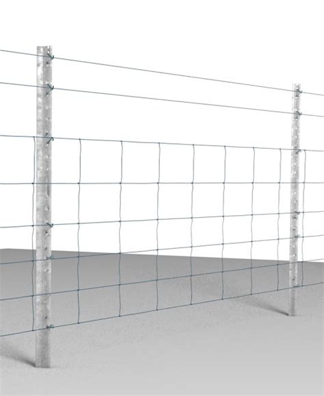 Sheep Fencing | Common Fence Designs | Waratah Fencing