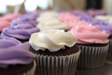 Pretty Frosted Rose Cupcake Purple Pink And White Created By Diane