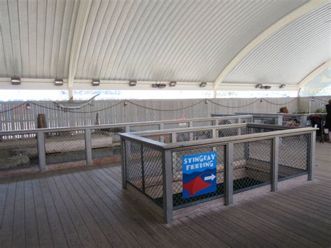 Stingray Bay Shark Tank Building Zoochat