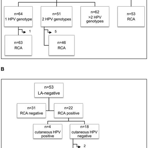 Genotype Specific Prevalence Of Anal Hpv Infection High Risk Possibly