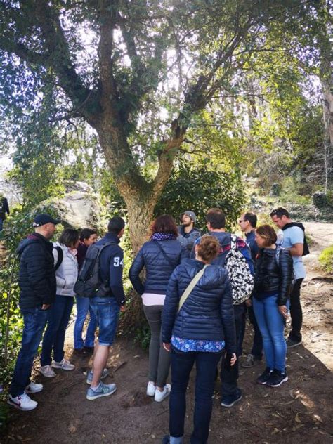 Sintra Tour guiado de día completo en furgoneta con guía local