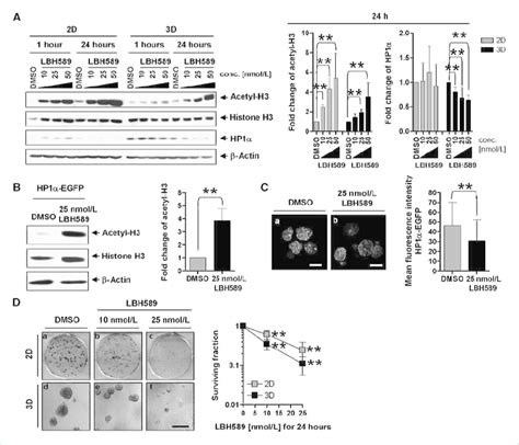 The Hdac Inhibitor Lbh589 Effectively Mediates Chromatin Decondensation Download Scientific