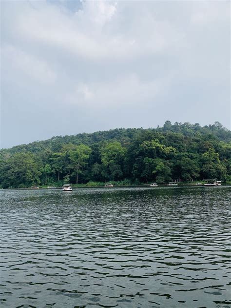 Pookode Lake Wayanad | Places to visit, Instagram inspiration posts ...