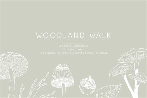 Woodland Walk Vectors Illustrations Creative Market