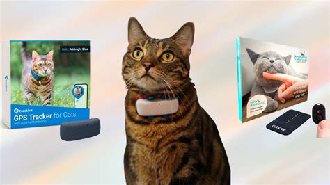 Top 10 Gadgets For Cats & Cat Owners in 2025 | TechnoMEOW