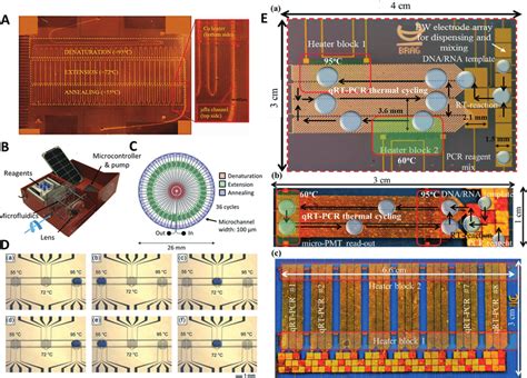 Space Domain PCR Devices A A Serpentine Based Microfluidic PCR