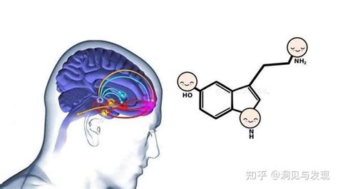 如何摆脱“一时爽”的多巴胺，去追逐“长期快乐”的内啡肽？ 知乎