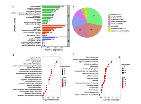 Differentially Expressed Proteins Under The Presence Of Cnc Extract