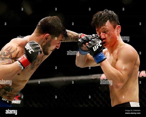 Featherweight Cub Swanson Left Connects With A Punch To The Face Of