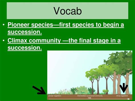 Ecological Succession Ppt Download