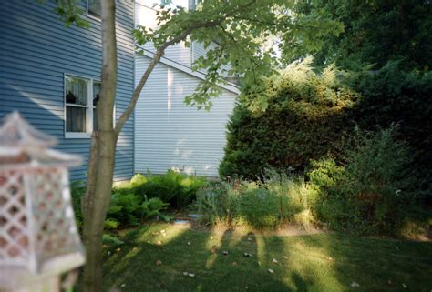 2001CY 06 Backyard 2001 North Tonawanda NY Walter Etten Flickr