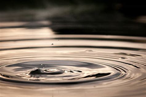 Ripples Pond Stock Photos, Pictures & Royalty-Free Images - iStock