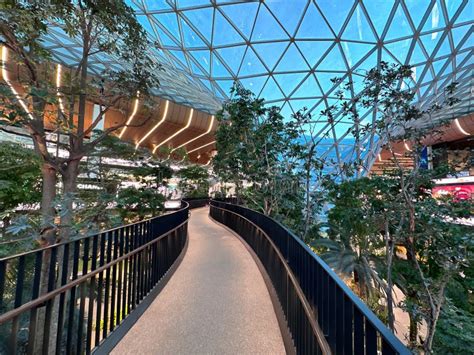 Hamad International Airport Doh Expands With Indoor Tropical Garden Editorial Photo Image