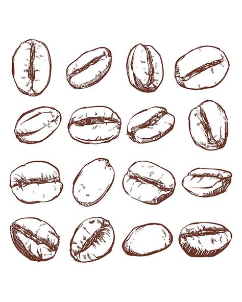 Coffee Bean Drawing at PaintingValley.com | Explore collection of Coffee Bean Drawing