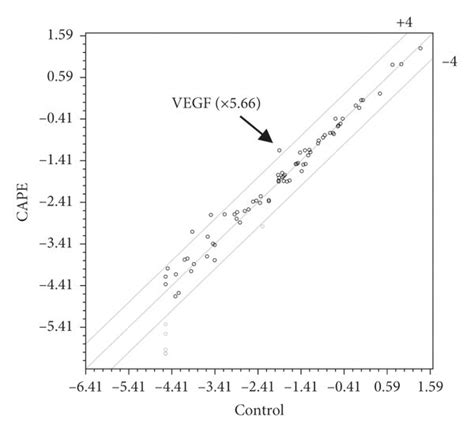 Comprehensive Expression Analysis Of Osteogenesis Related Genes In