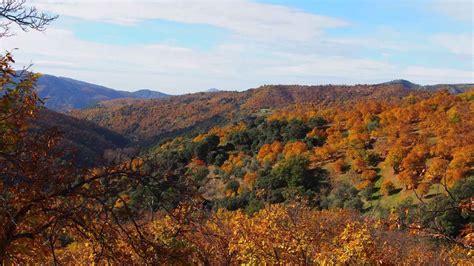 El Bosque De Cobre Una Ruta Natural Entre Casta Os Por La Serran A De