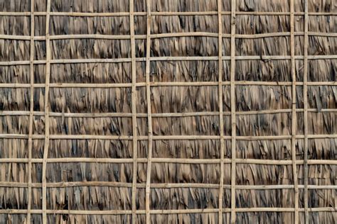 Thatch Pattern Stock Photos Pictures And Royalty Free Images Istock