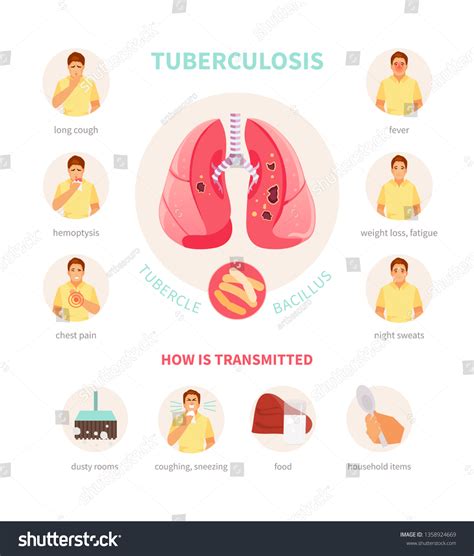 Symptoms Ways Infection Tuberculosis Medical Vector Stock Vector ...