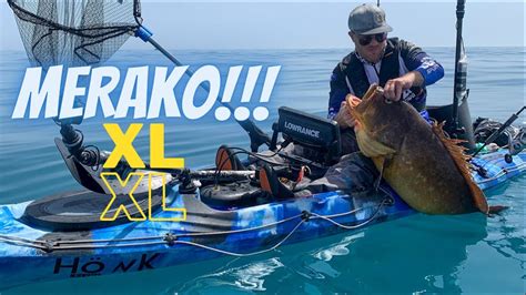 Picada Explosiva Mero Xl En Kayak Youtube