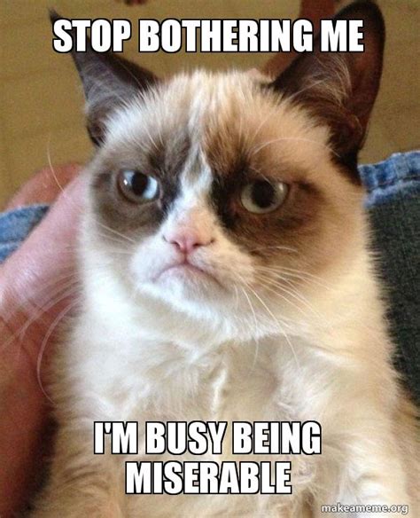 stop bothering  im busy  miserable grumpy cat meme generator