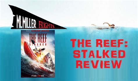 THE REEF: STALKED (2022) Review! – MLMILLERWRITES / MLMillerFrights