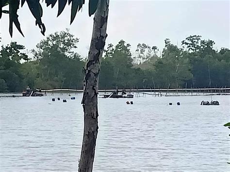 Aktivitas Tambang Pasir Ilegal Di Bintan Kembali Beroperasi