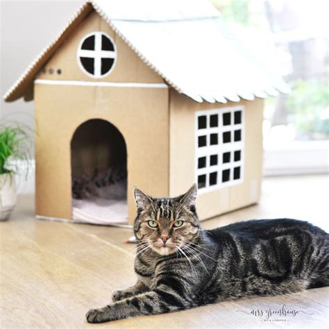 Katzenhaus Aus Pappe Bauen Mit Anleitung Auf Mrsgreenhouse De