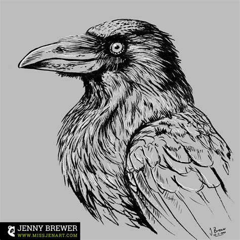 ArtStation - Crow | Ink pen drawings, Crow, Ink drawing