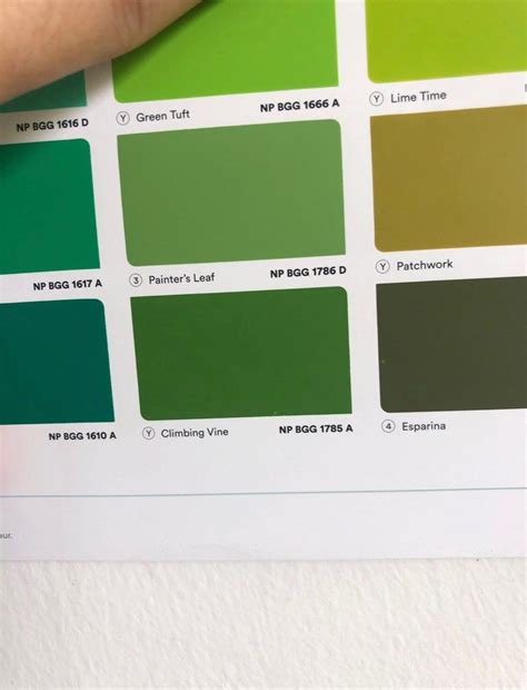 Nippon Paint Easy Wash Painter S Leaf Green Litres Furniture Home