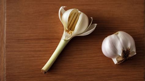 Garlic for Rash - Garlic Store