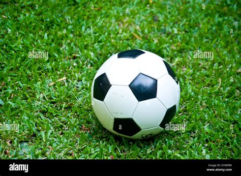 black and white football on the field Stock Photo - Alamy